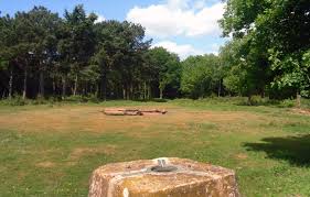a grass clearing in woodland. In the distance, a pile of logs. In the near ground a stone trig point